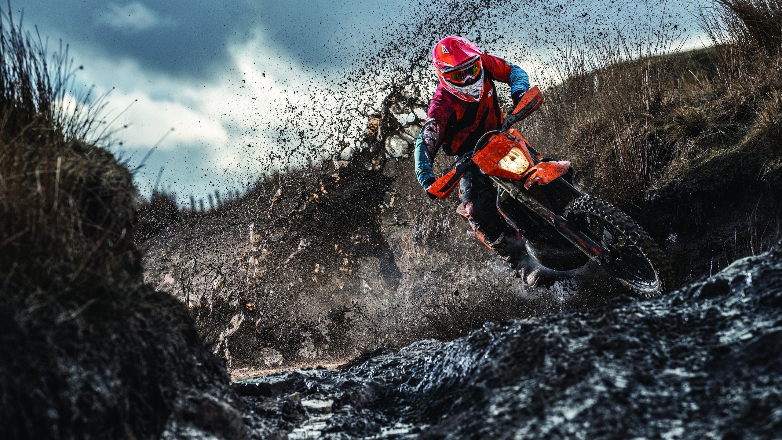 马克·阿特金森:南非队最具攻击性的边锋,实力引爆赛场,马克·阿特金斯